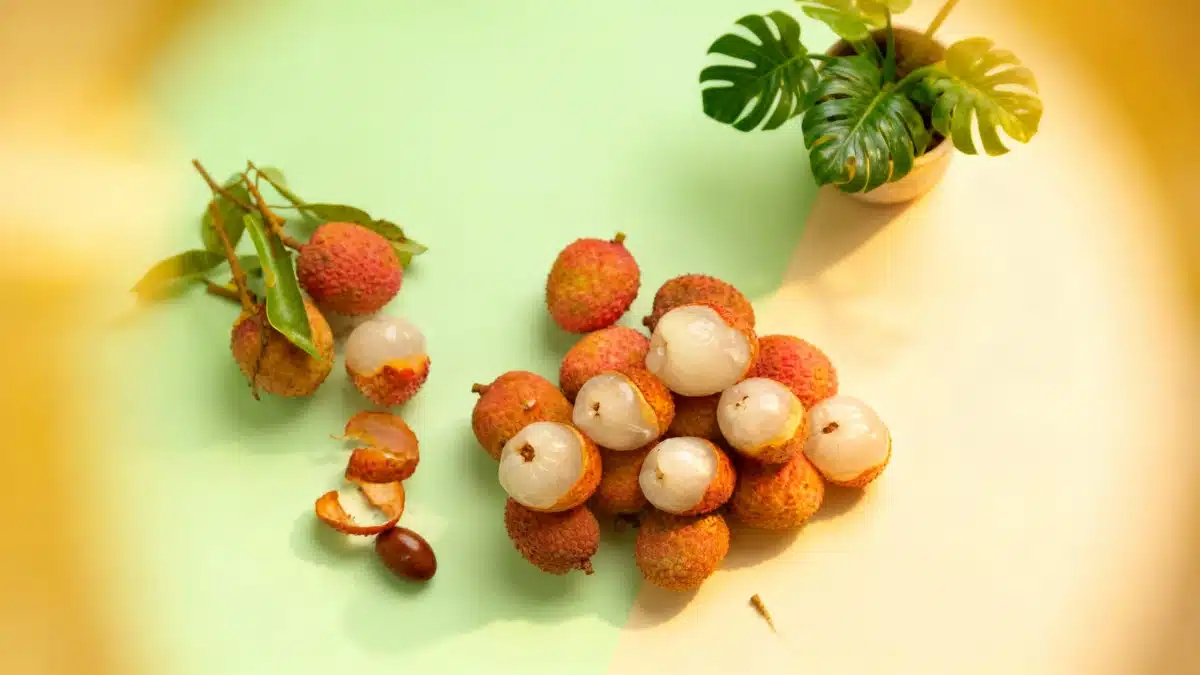 How a discarded lychee seed can transform your home into a tropical oasis